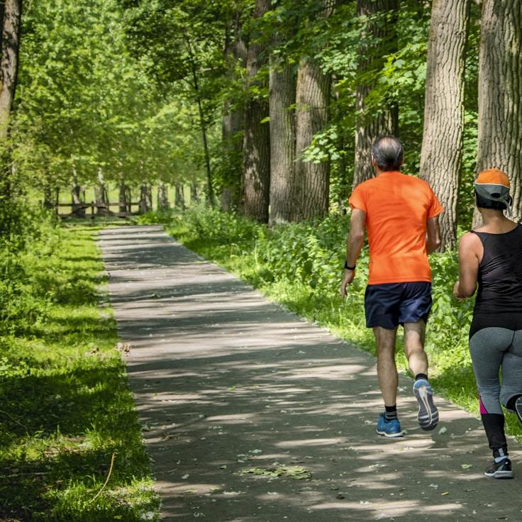 Professional gym interior with weight equipment